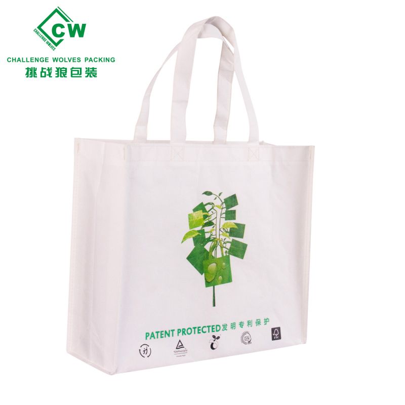 Tas Non Woven PLA